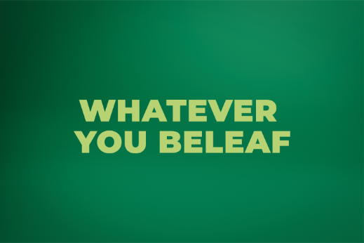 beleaf-teaser-m-story-unsere-botschaft