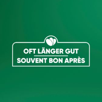 text-Image-oft-länger-gut