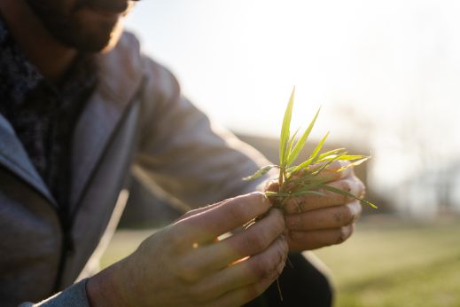 beleaf_nachhaltigkeit_regionalitaet_teaser-m