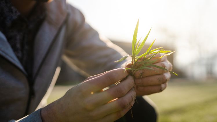 beleaf_nachhaltigkeit_regionalitaet_stage